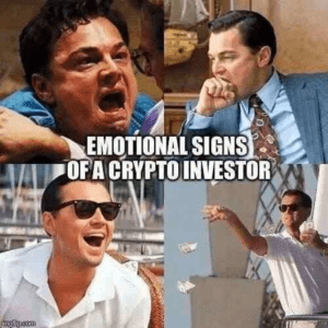 Leonardo DiCaprio Crypto Investor Meme- The Wolf of Wall Street Meme